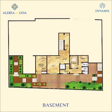 ALSTONIA BASEMENT